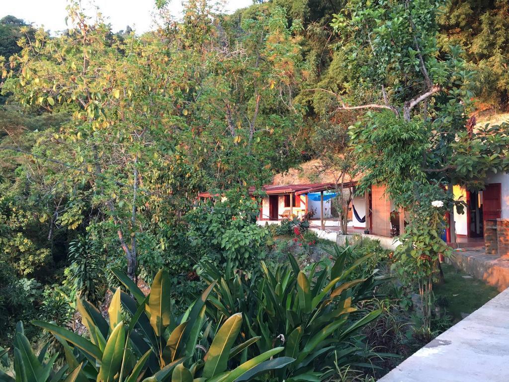 Finca San Rafael - Cafe Y Cacao Minca Buitenkant foto