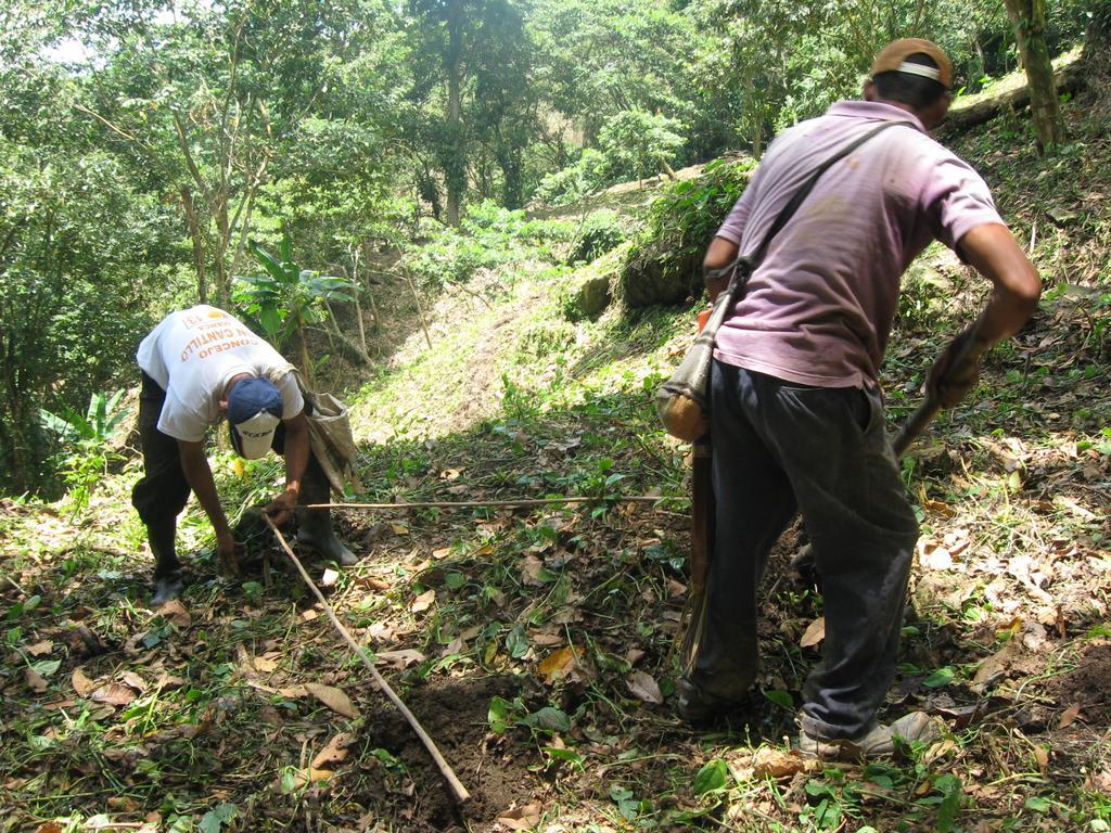 Finca San Rafael - Cafe Y Cacao Minca Buitenkant foto