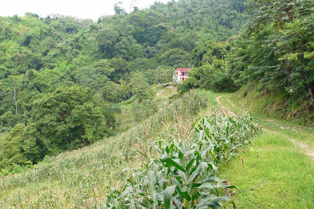 Finca San Rafael - Cafe Y Cacao Minca Buitenkant foto